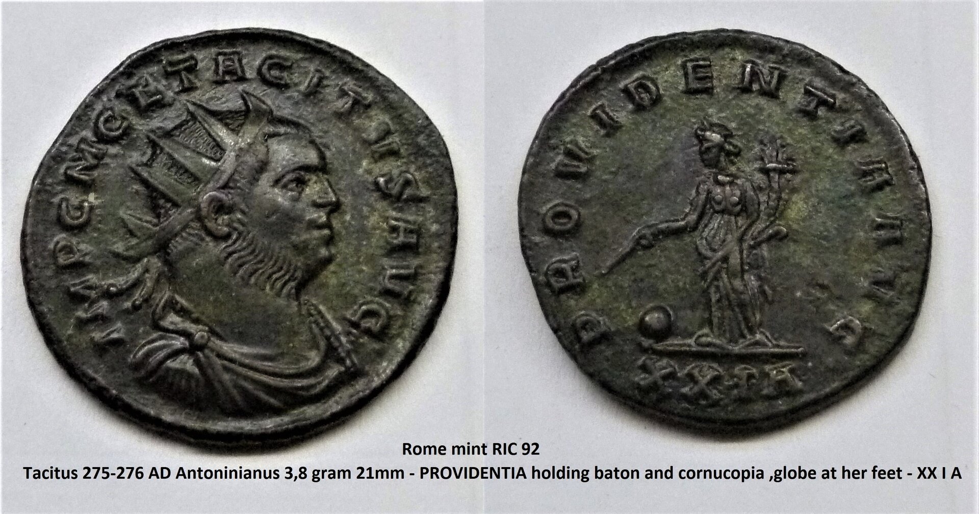 P1220132.JPG