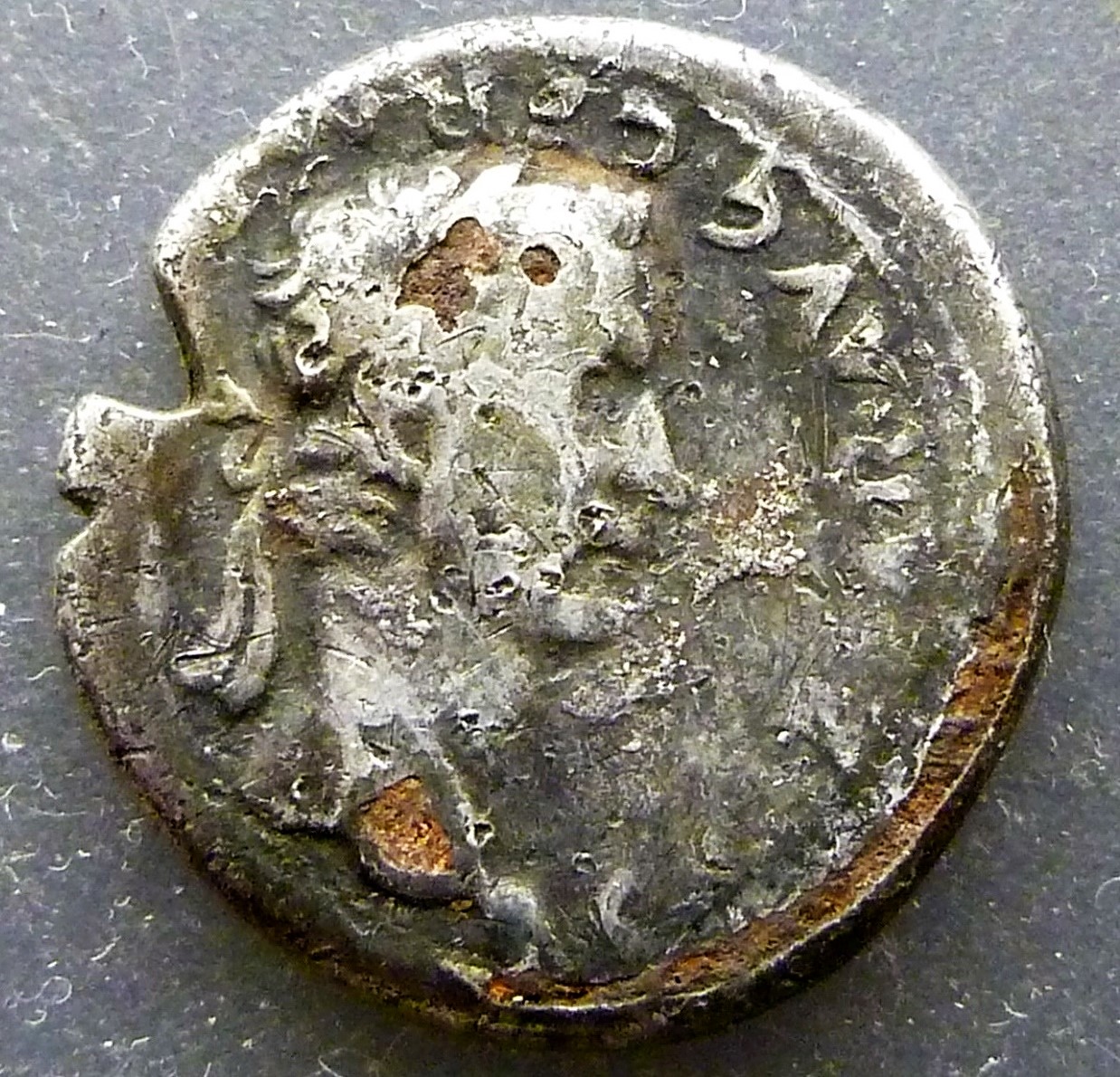 P1220187head2.jpg