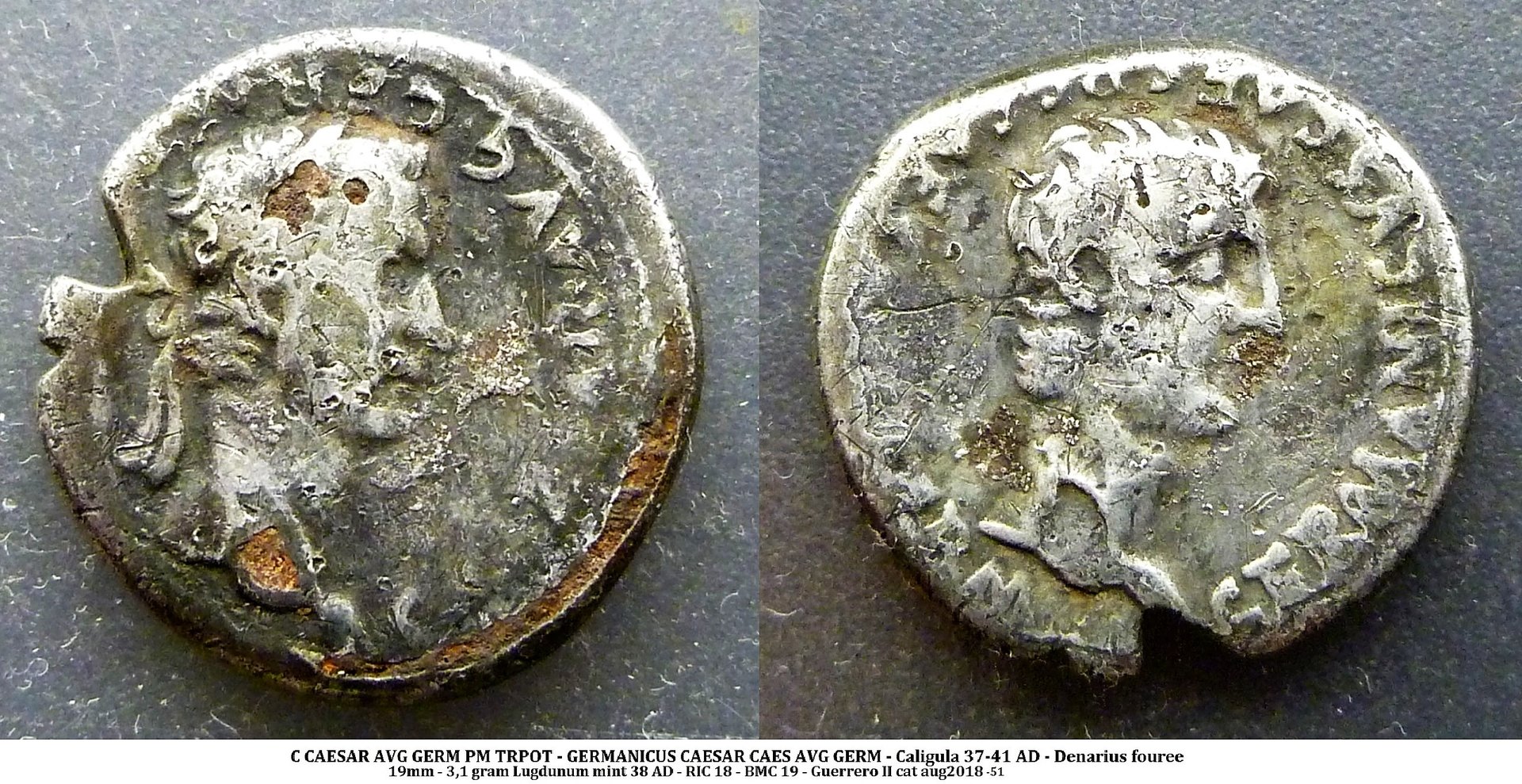 P1220187x.JPG