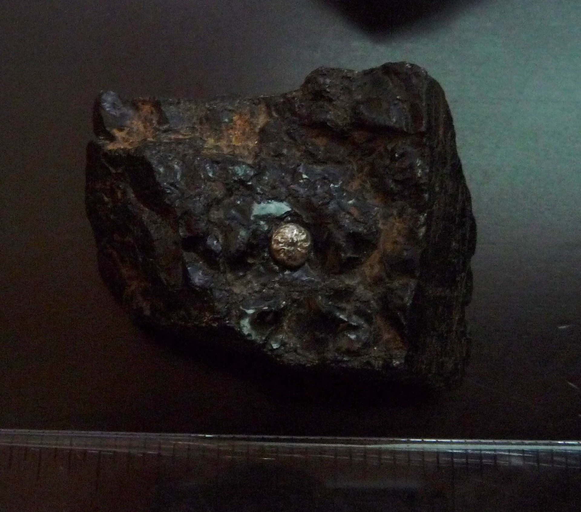 P1240446.JPG