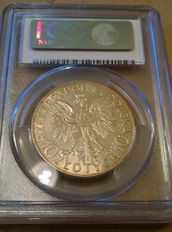 p2 copy.jpg
