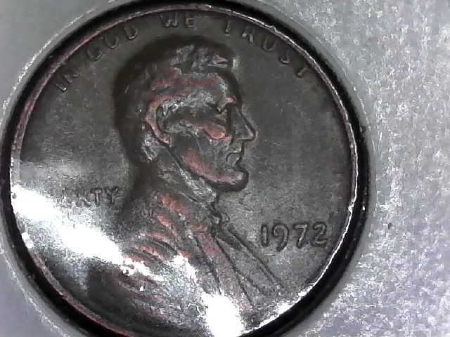 p2.jpg
