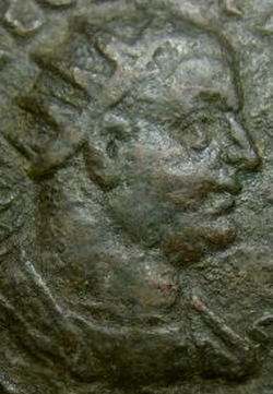 p2.jpg