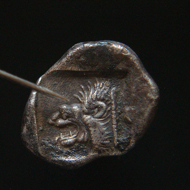 P2055525-002.JPG