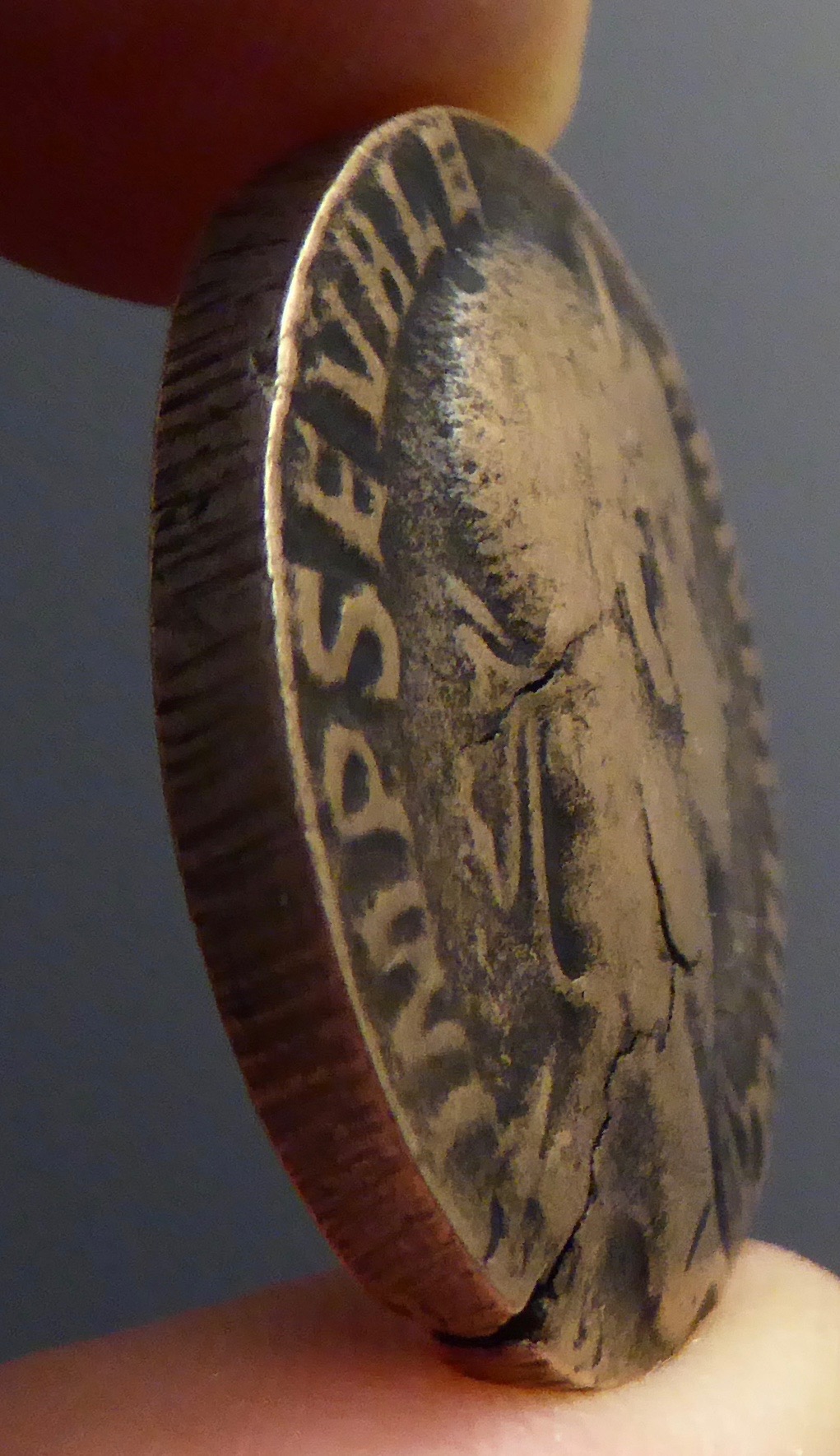 P2110523.jpg