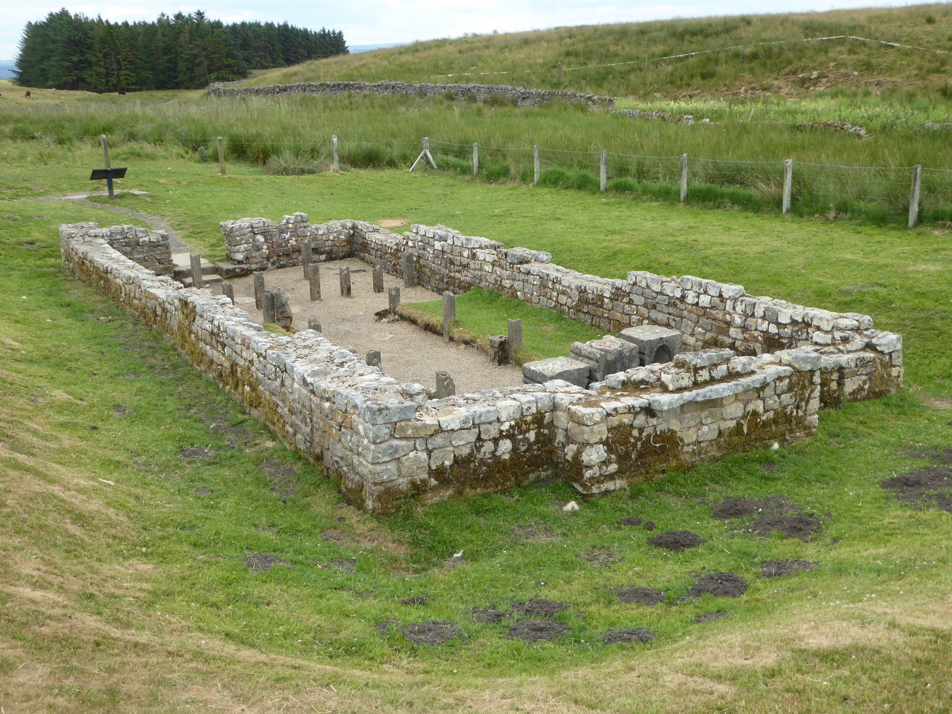 P2140006 (1).jpg