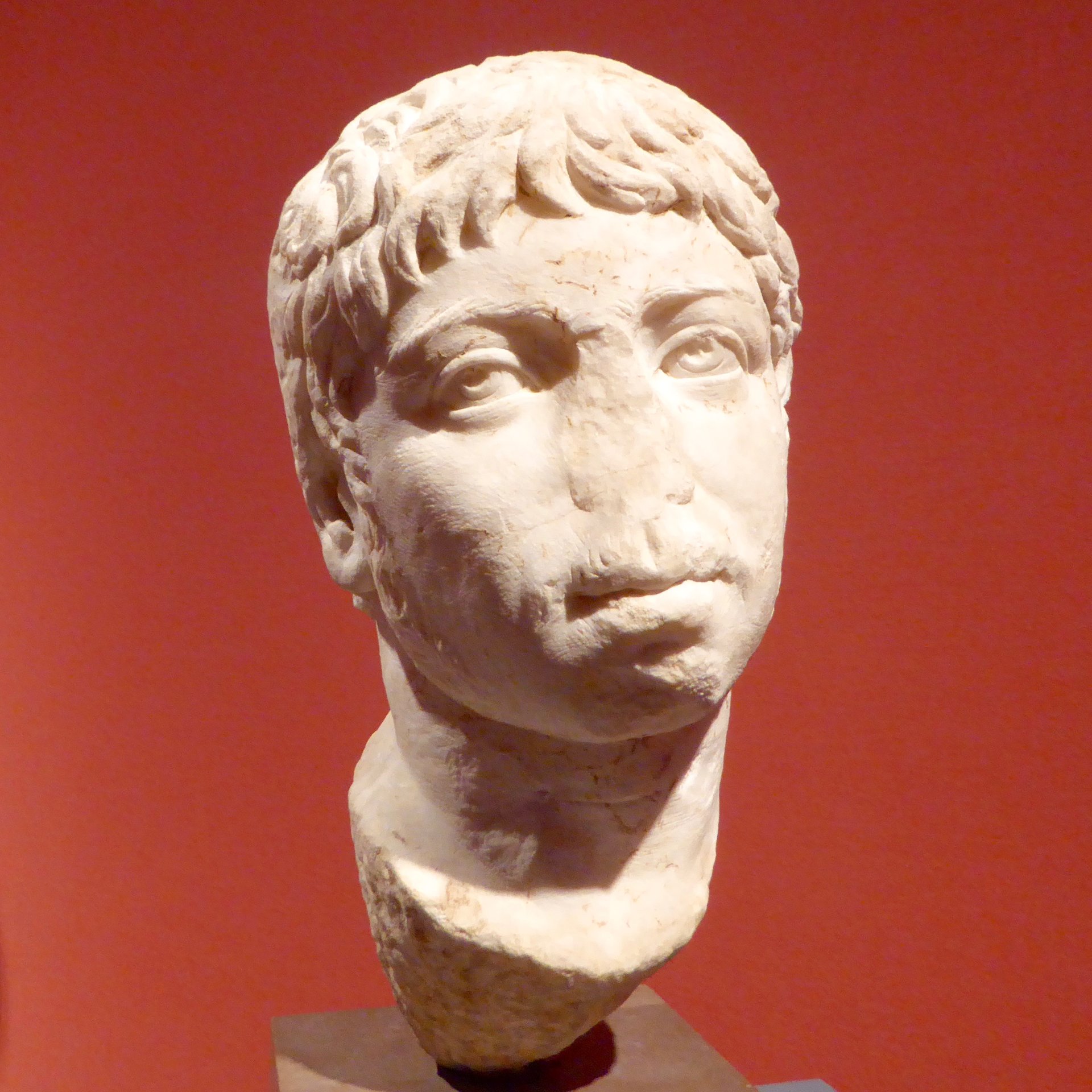 P2140350.jpg