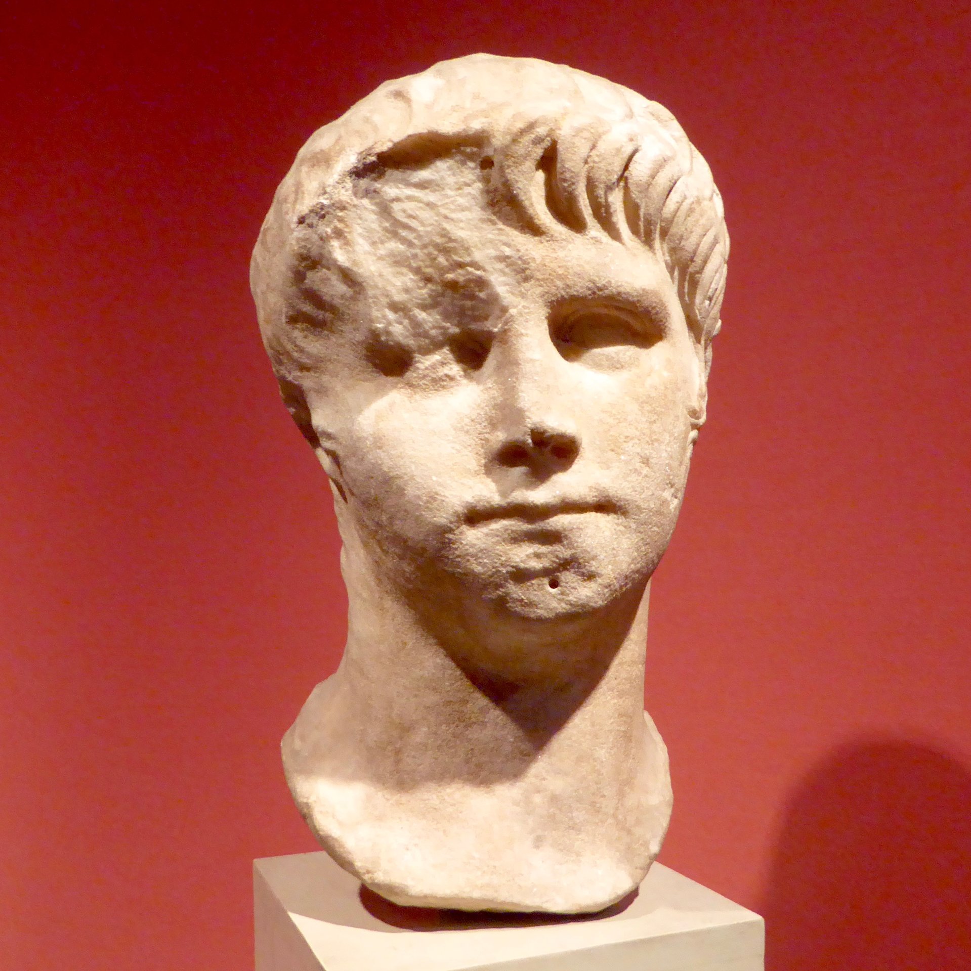 P2140351.jpg