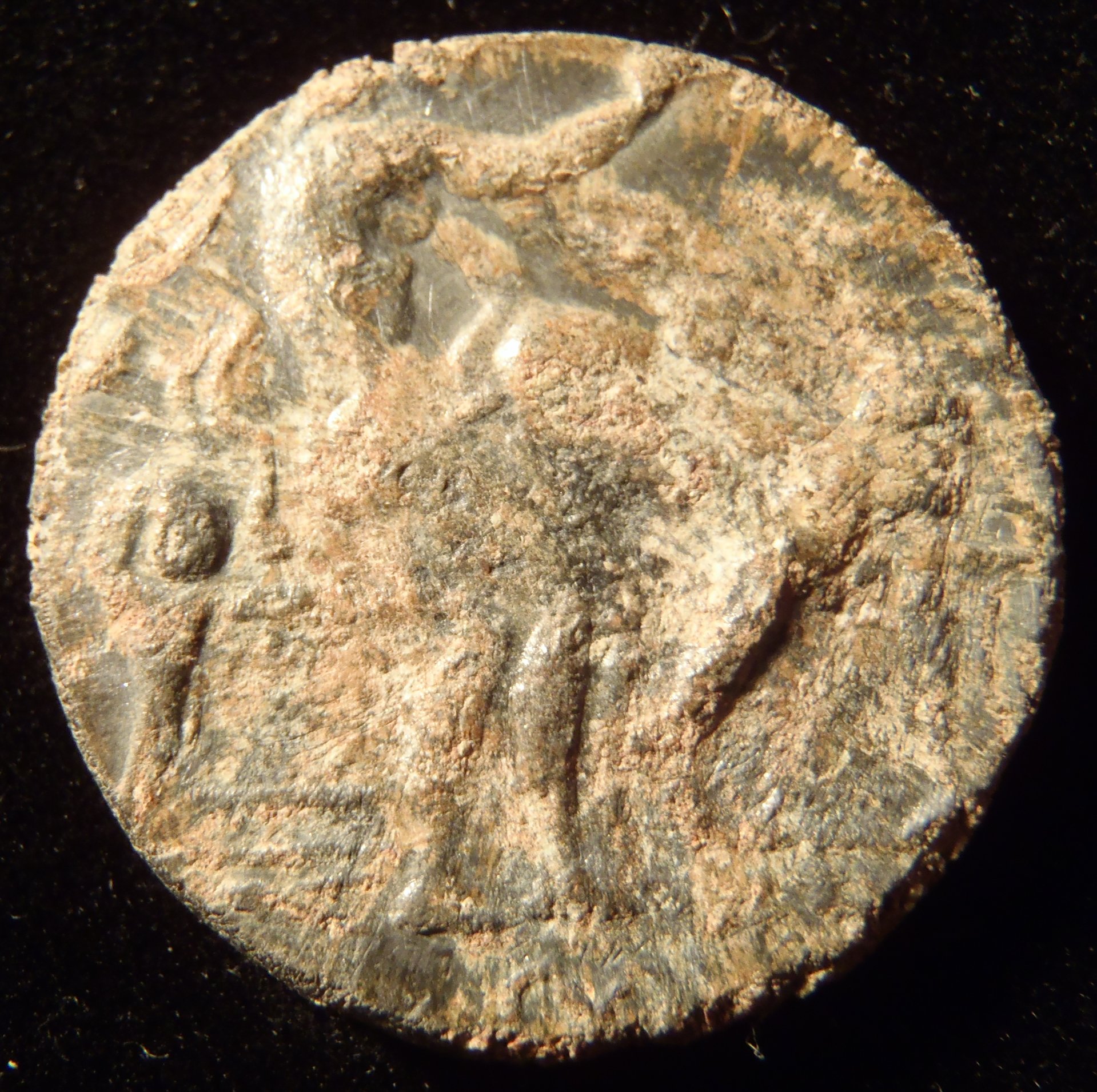P2282024.JPG