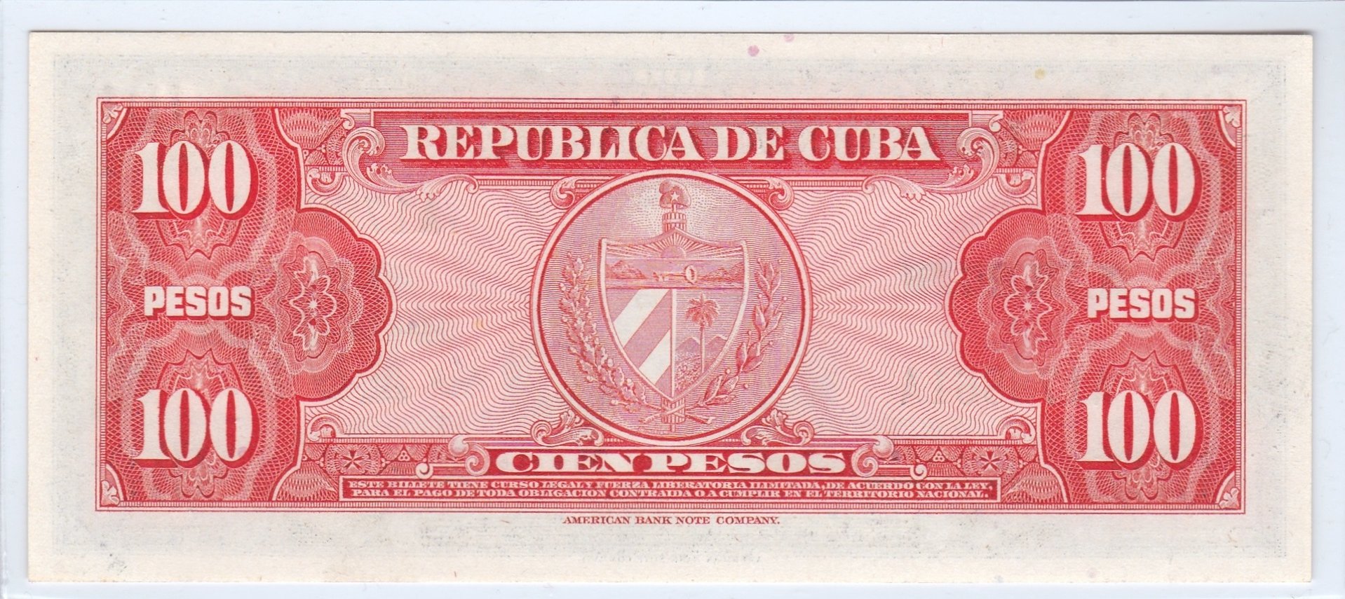 P31 (2).jpg