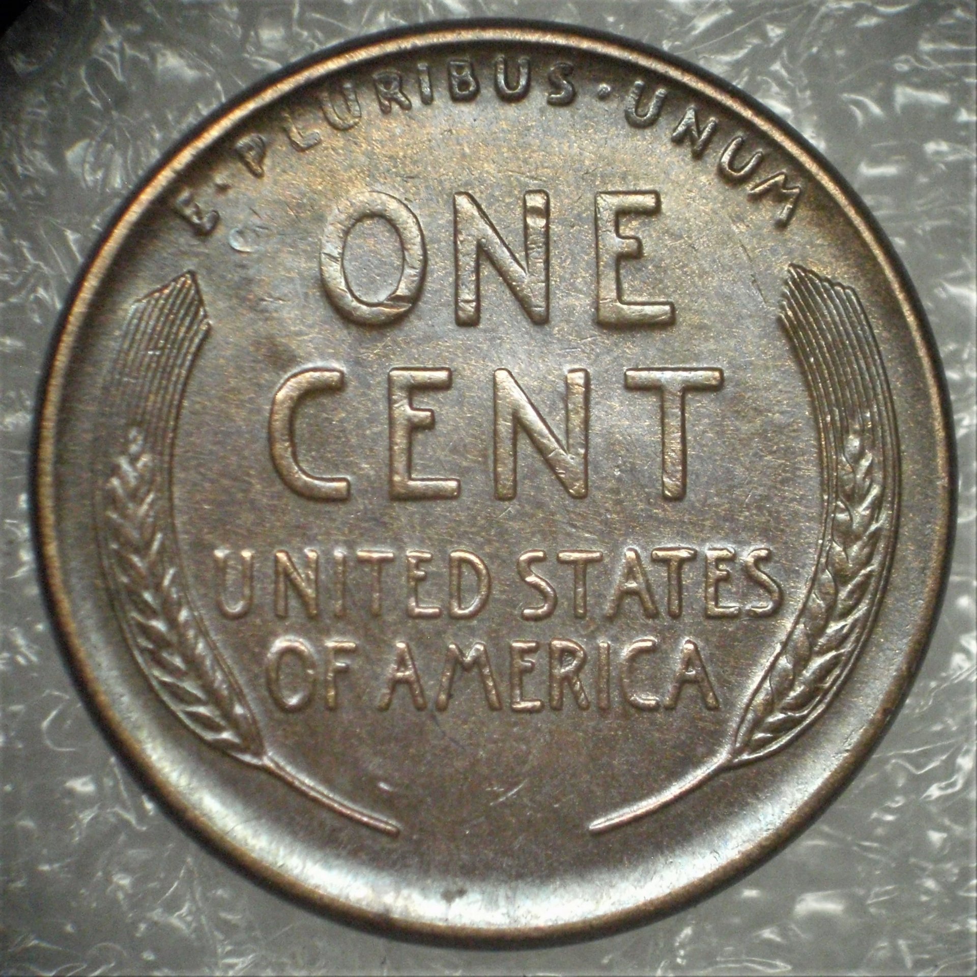 P3290003a.JPG