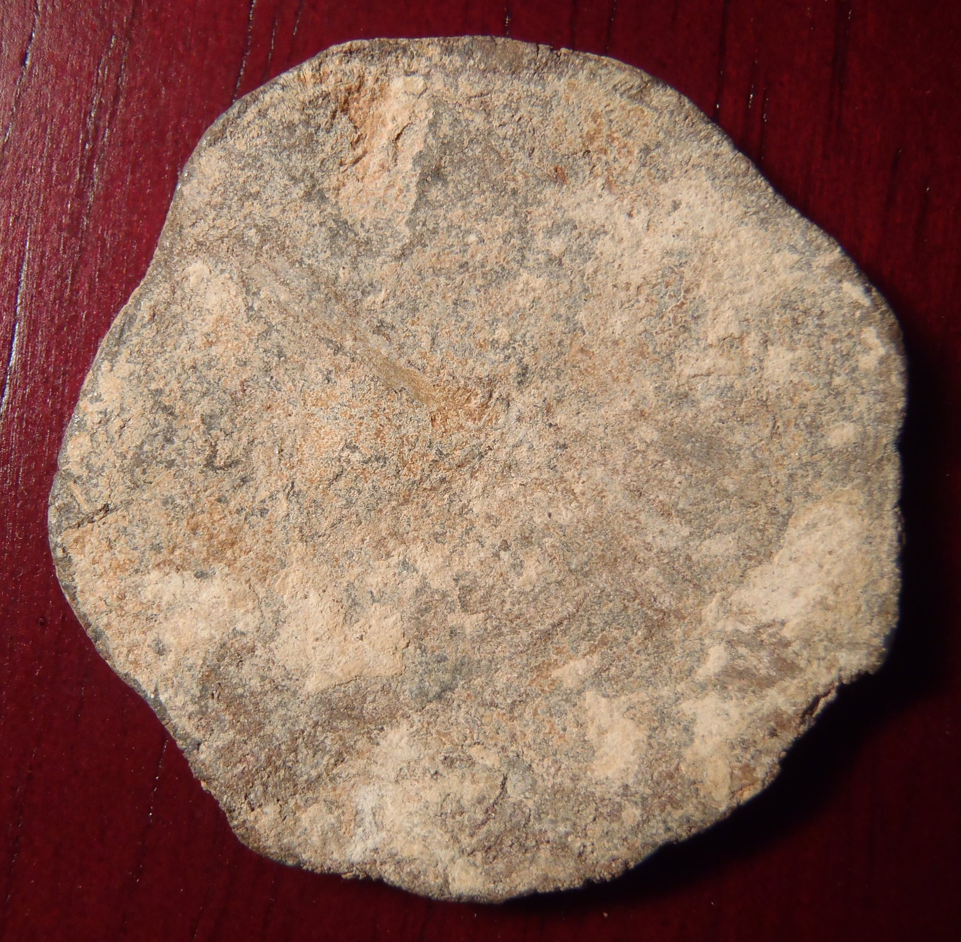 P3302016.JPG