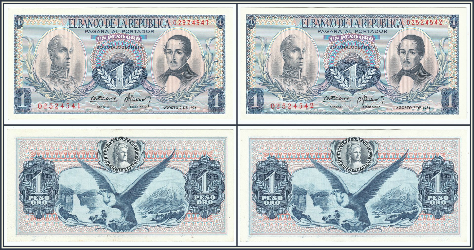 P547.jpg