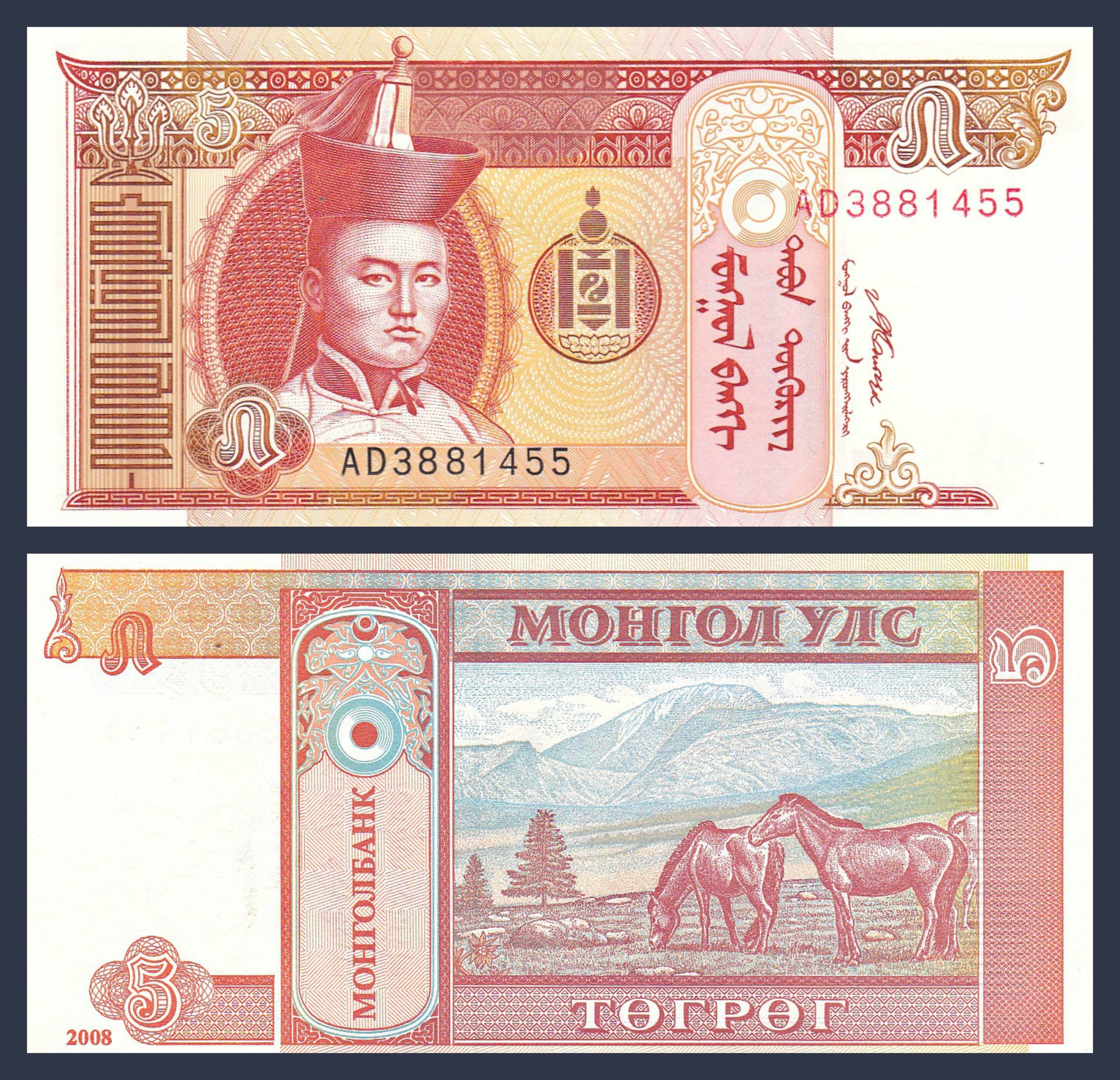 P57.jpg