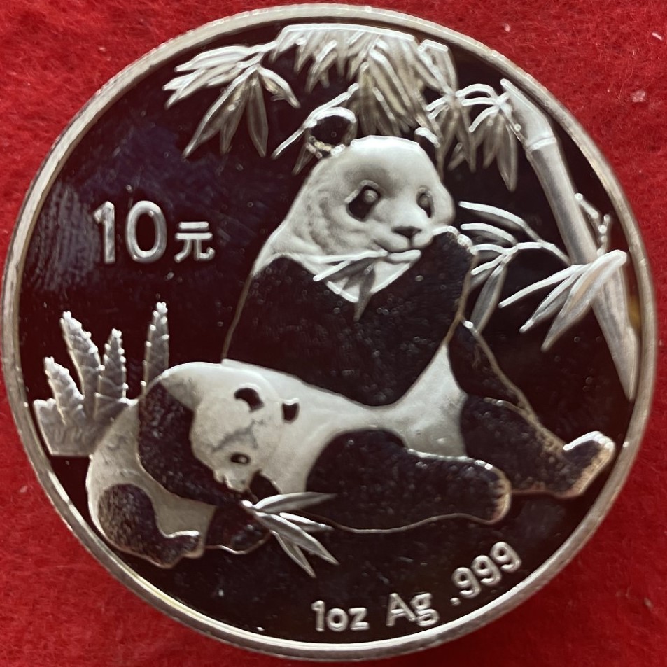 p6.jpg