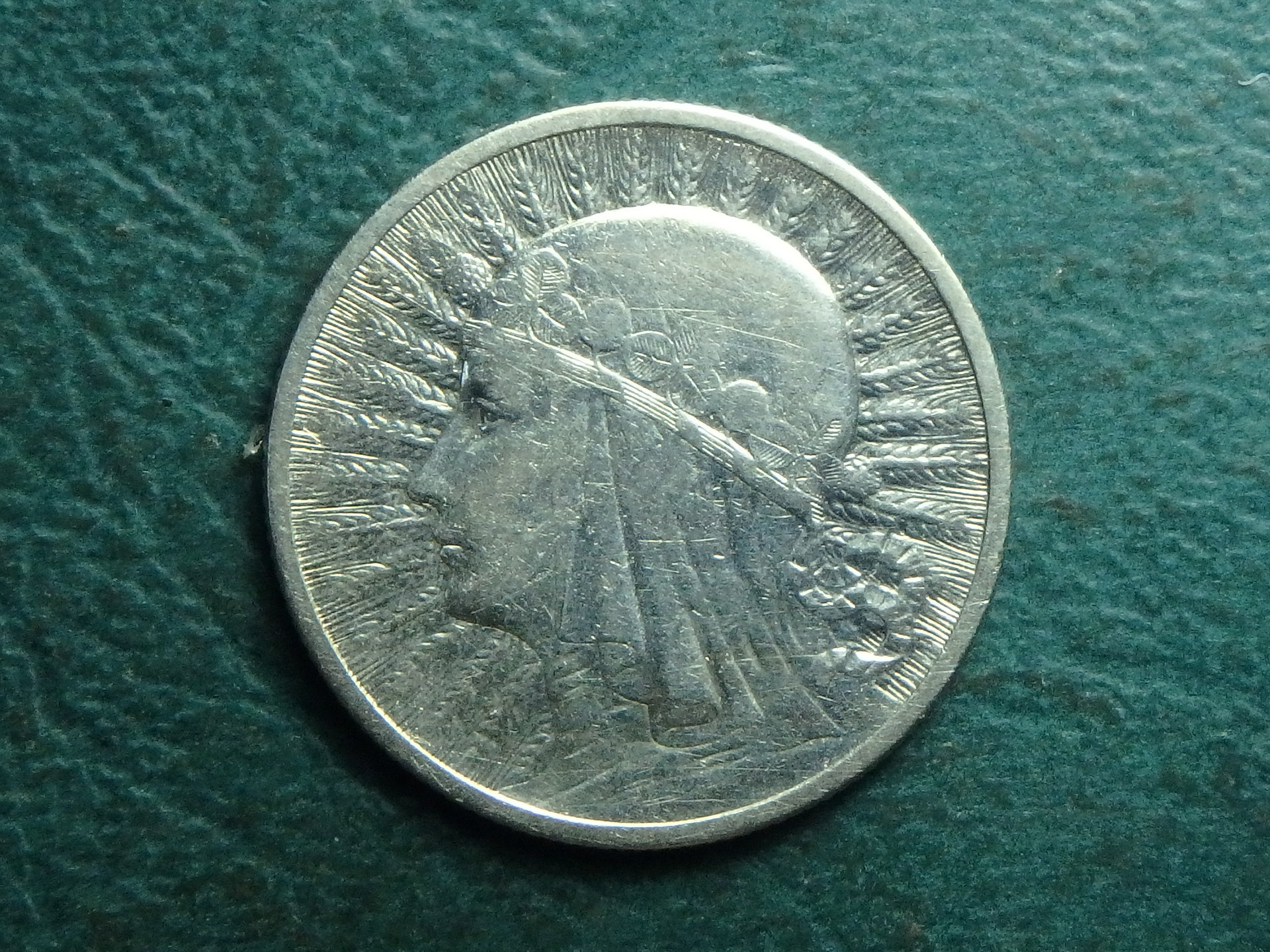 P9110015.JPG