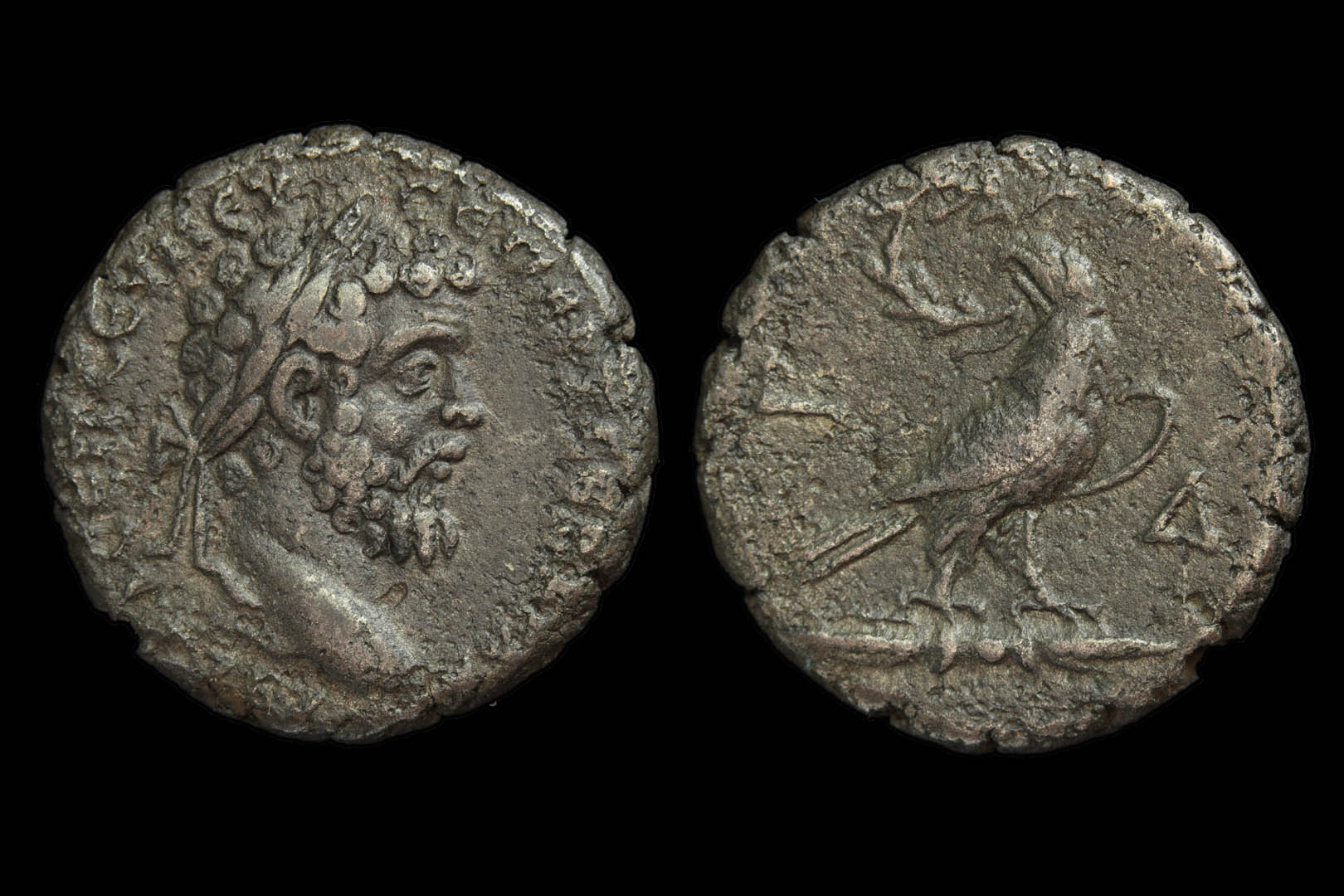 pa1090fd3422.jpg