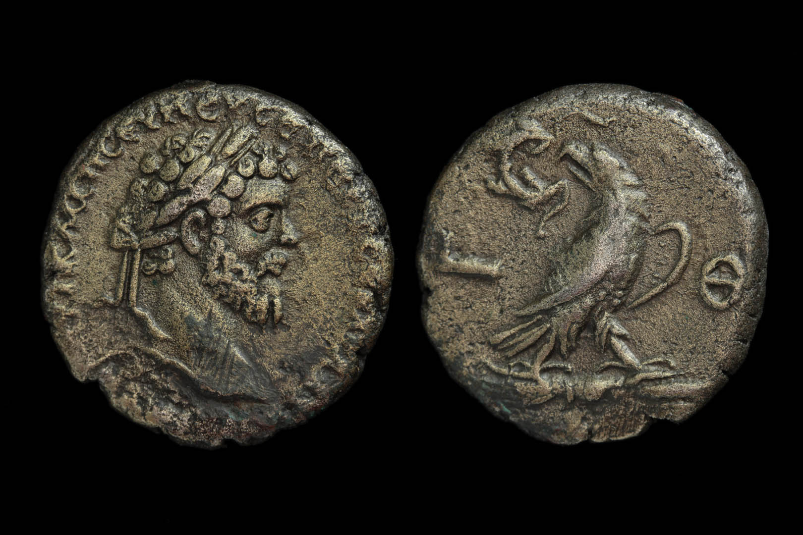 pa1170fd3424.jpg