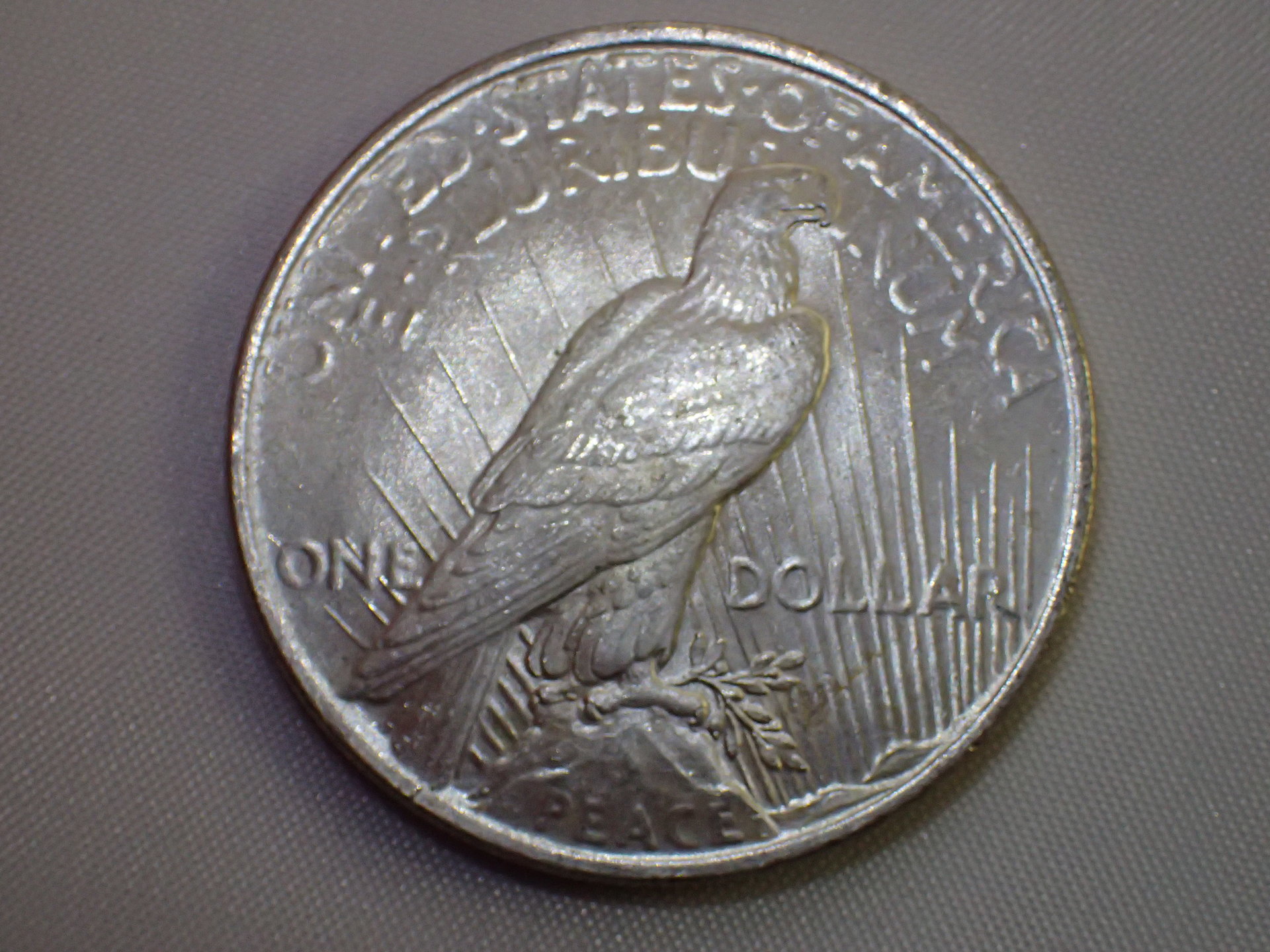 PA260014.JPG