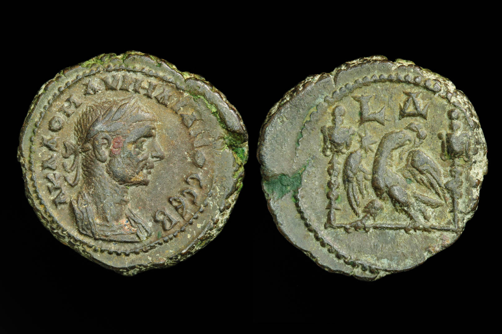 pa2628fd3334.jpg