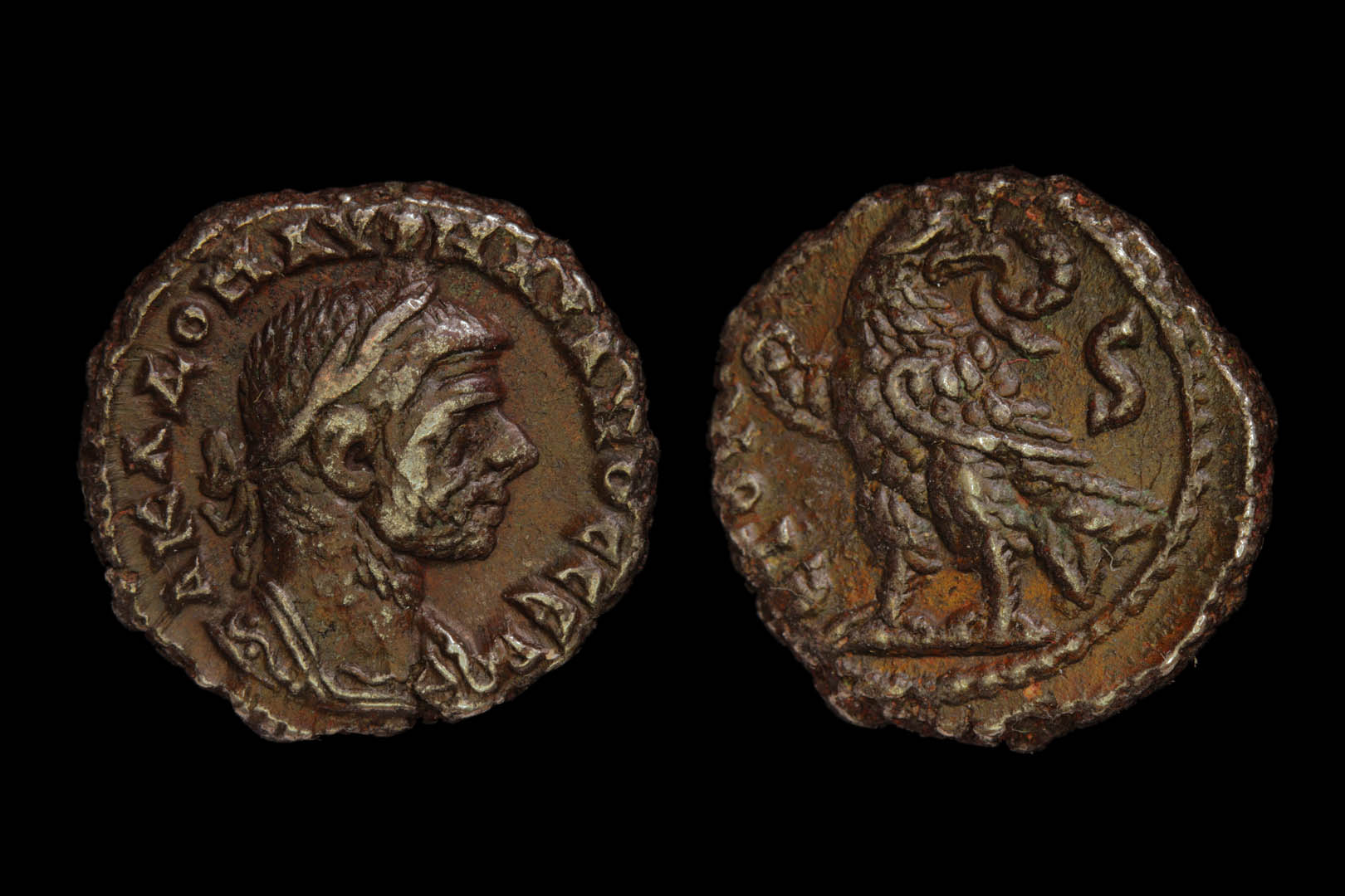 pa2629fd2261.jpg