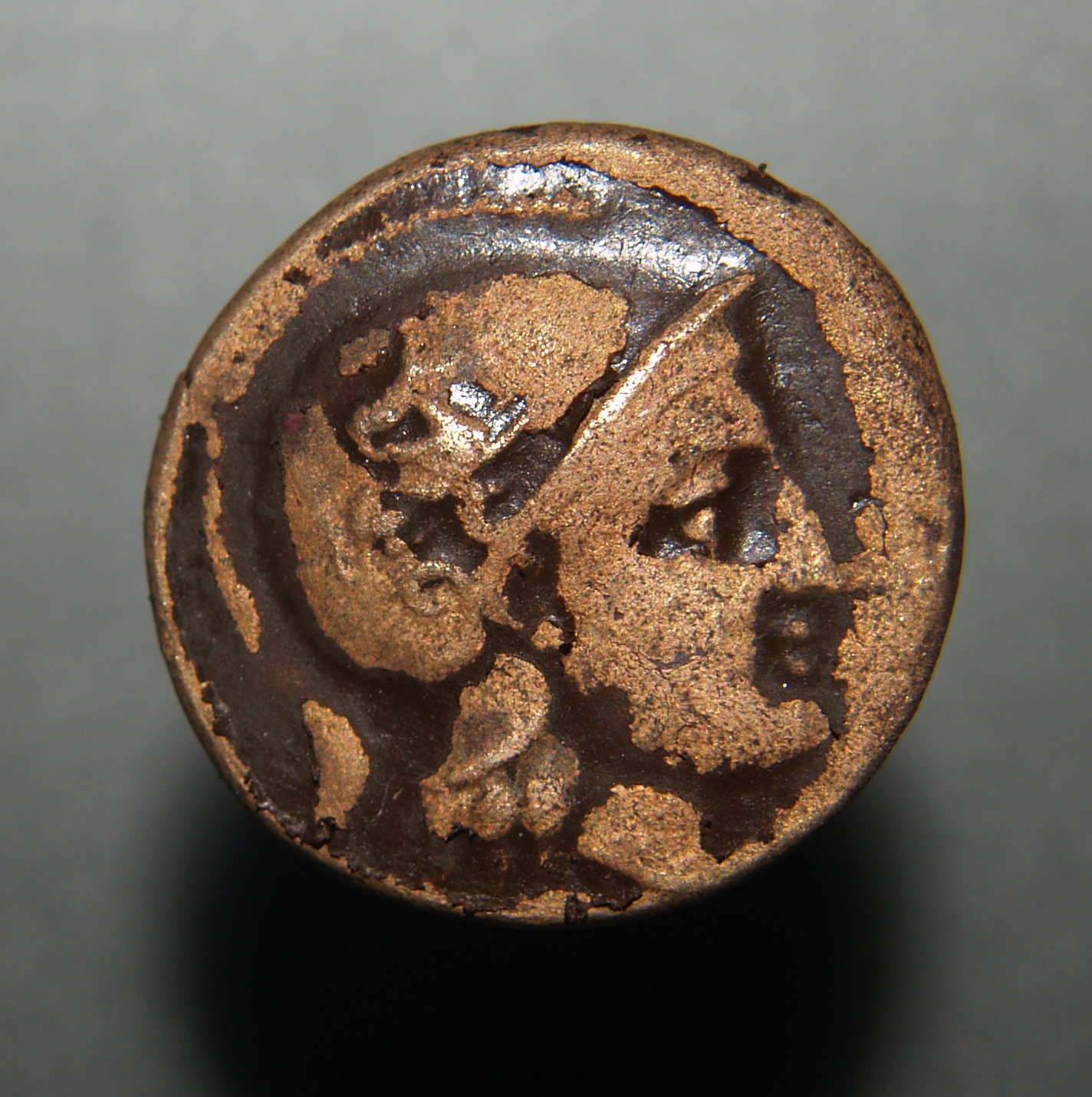 PA302953.JPG