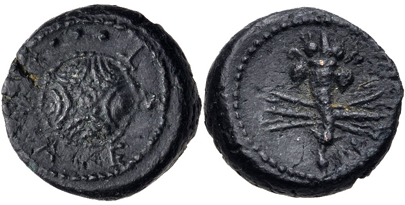 Paestum AE bronze (Macedonian shield - cornucopiae crossing thunderbolt).jpg