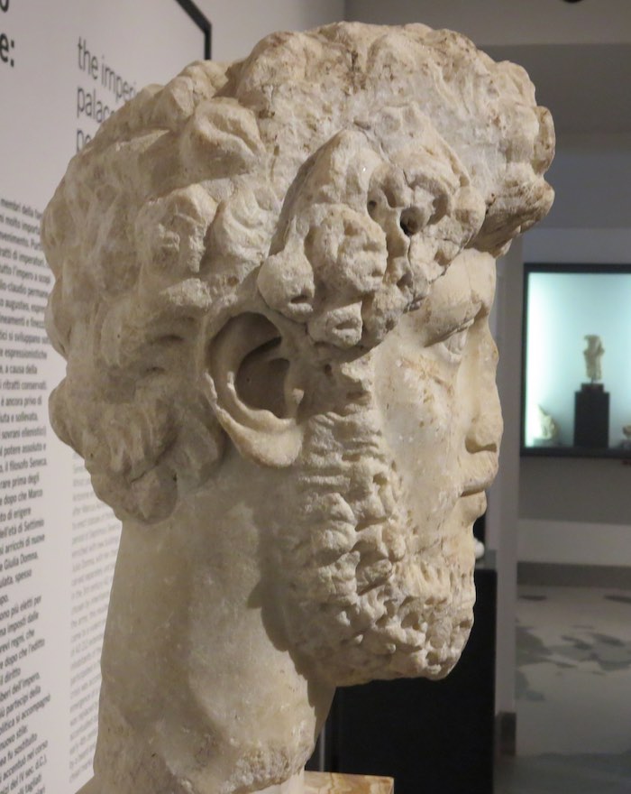Palatine8.jpg