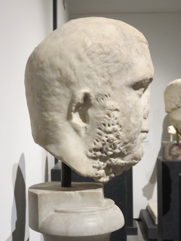 Palatine9.jpg