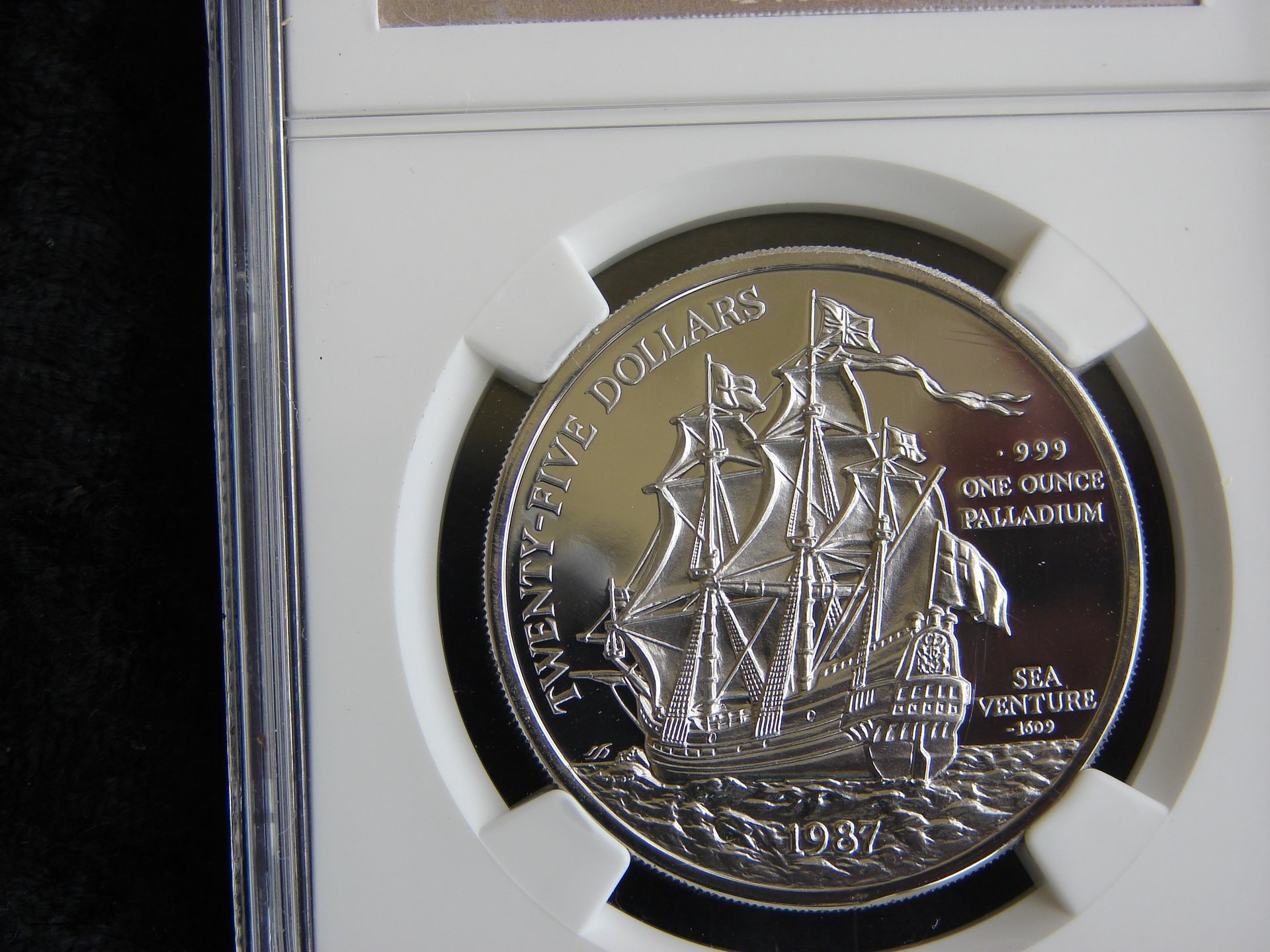PALLADIUM SEA VENTURE 2.jpg