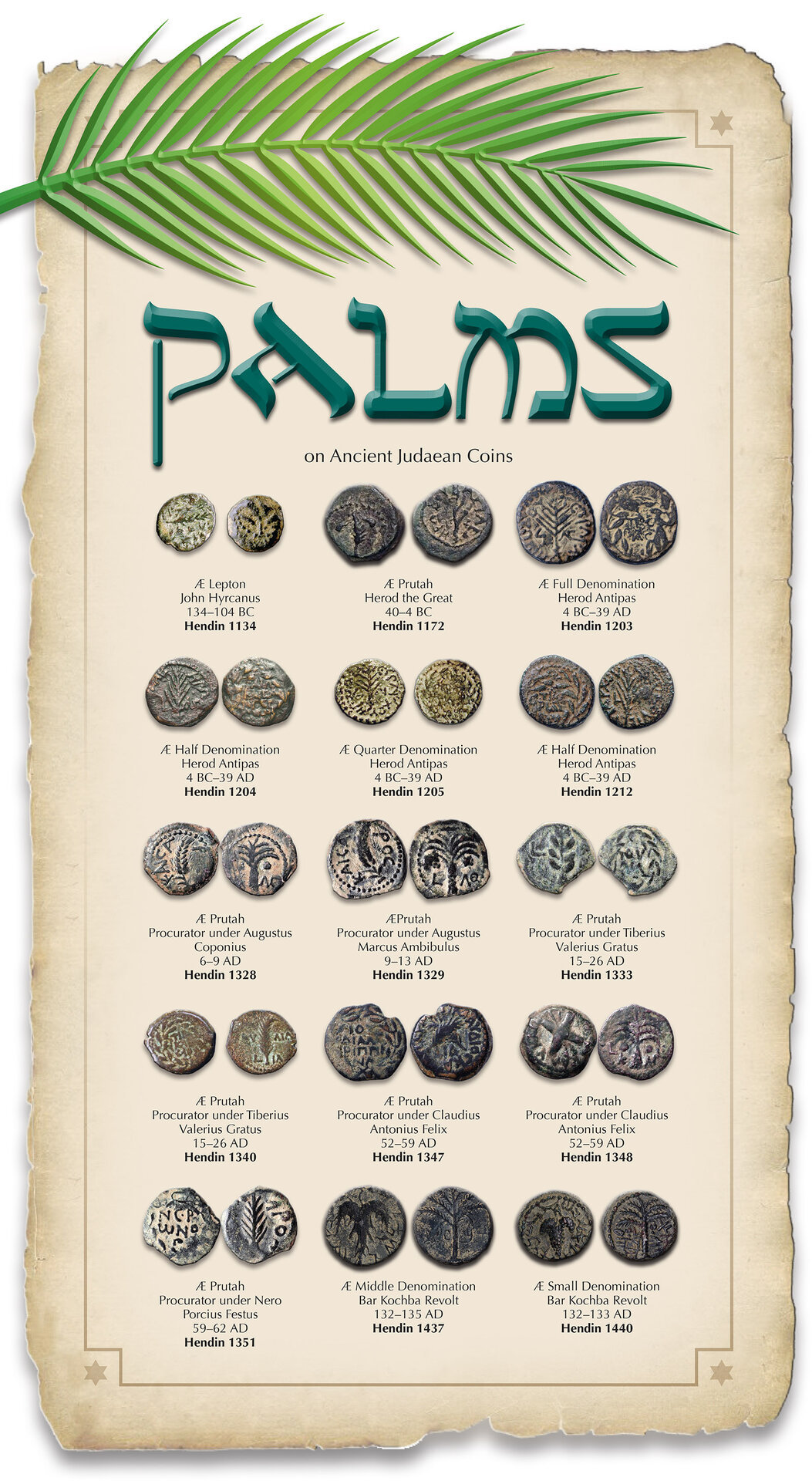PALMS2-1.jpg