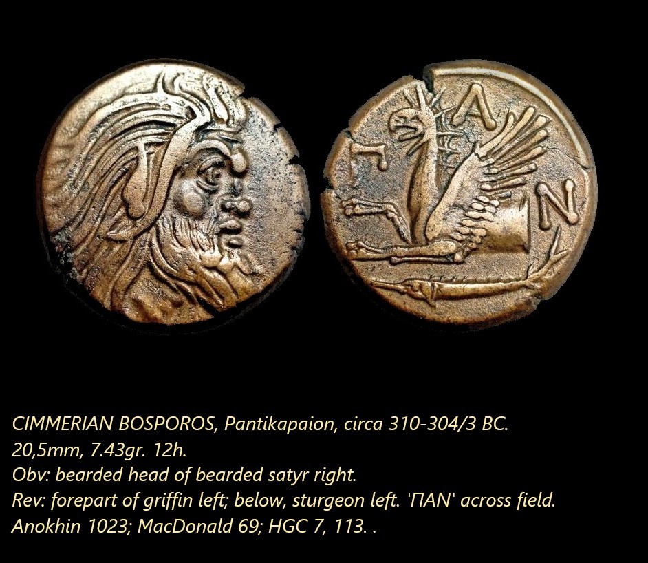 Pan of Pantikapaion..jpg