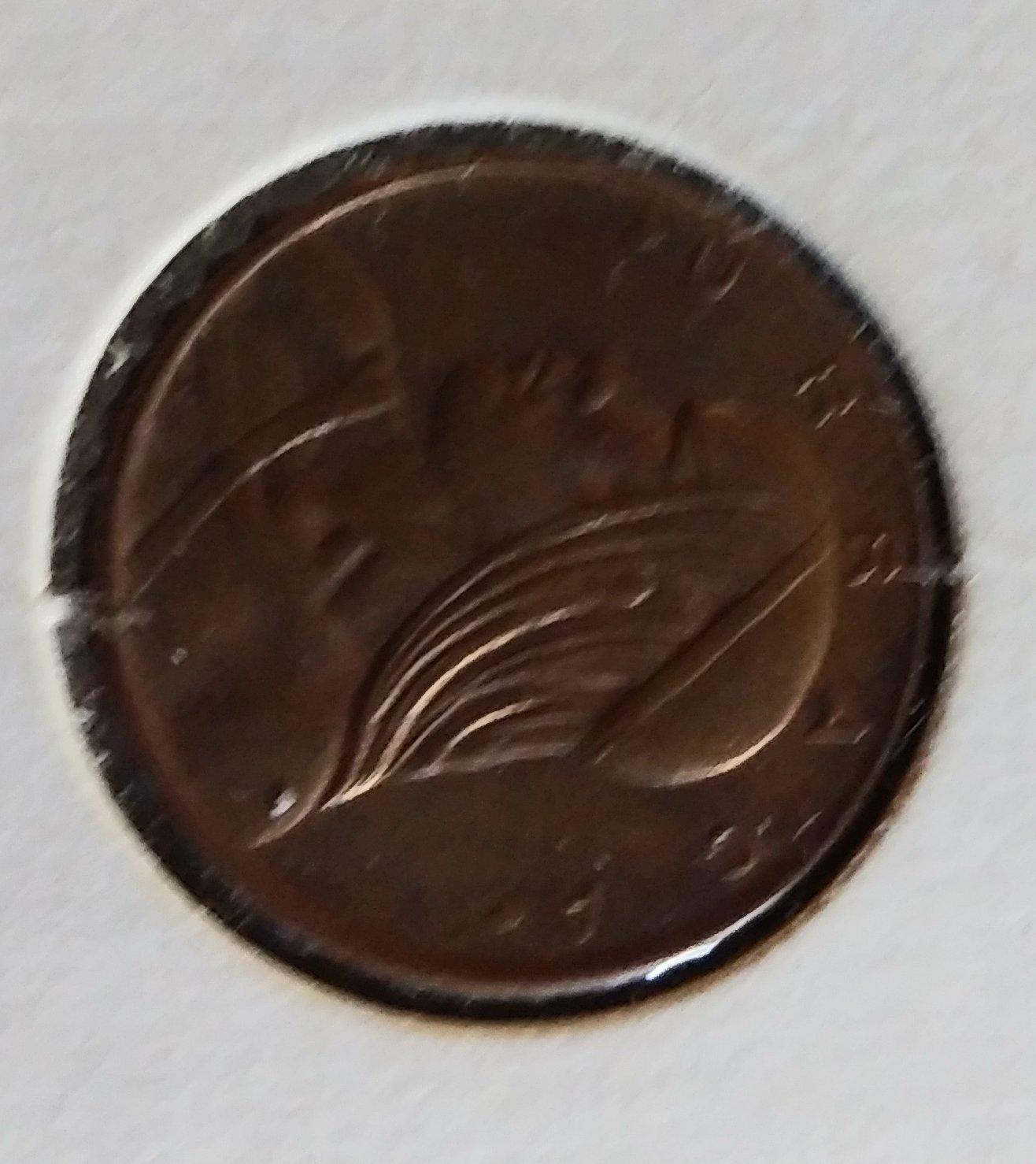 Panama Penny.jpg