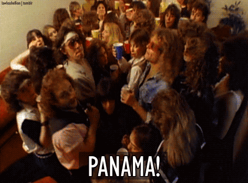 panavan.gif