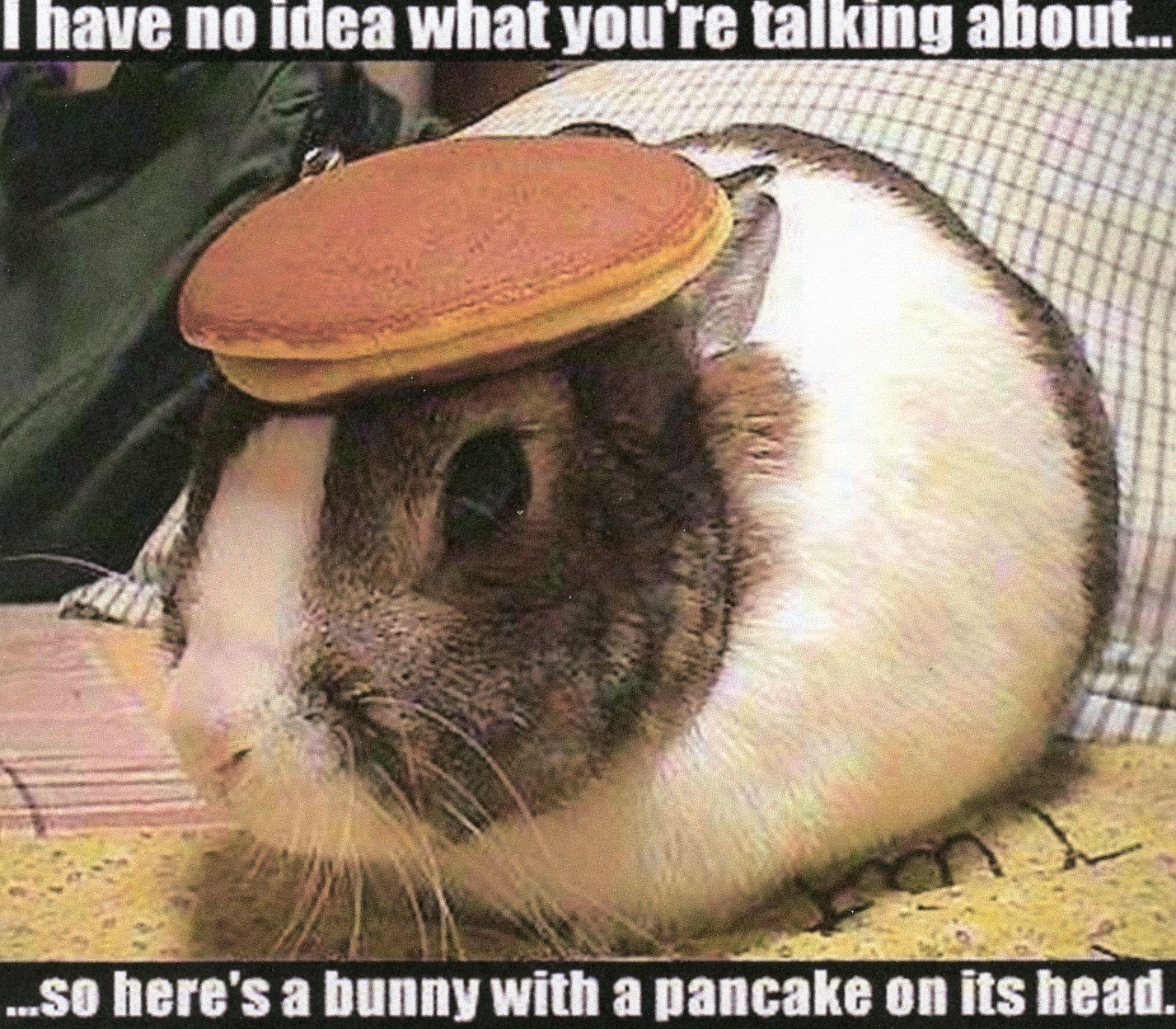 pancake003.jpg