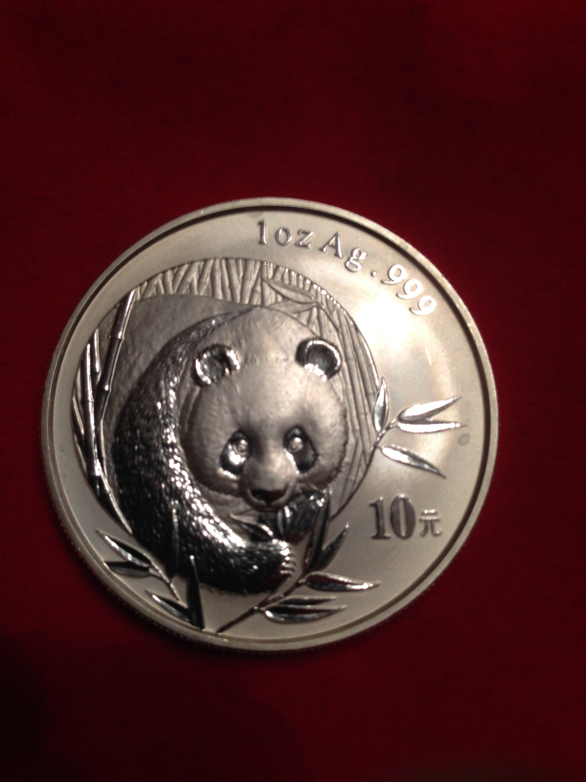 panda front.jpeg