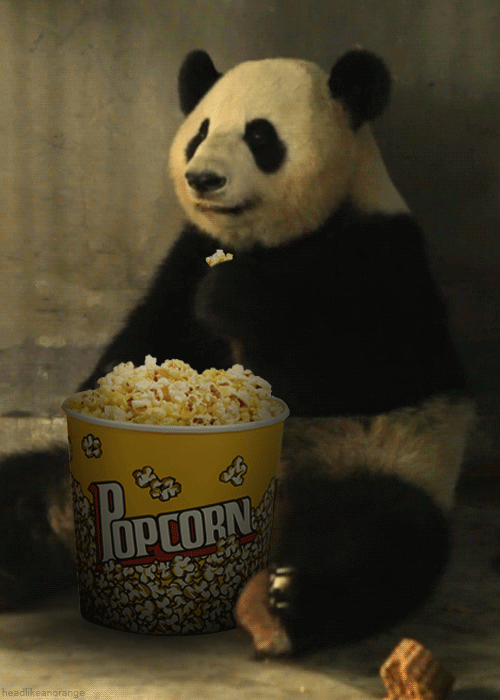 pandagif1.gif