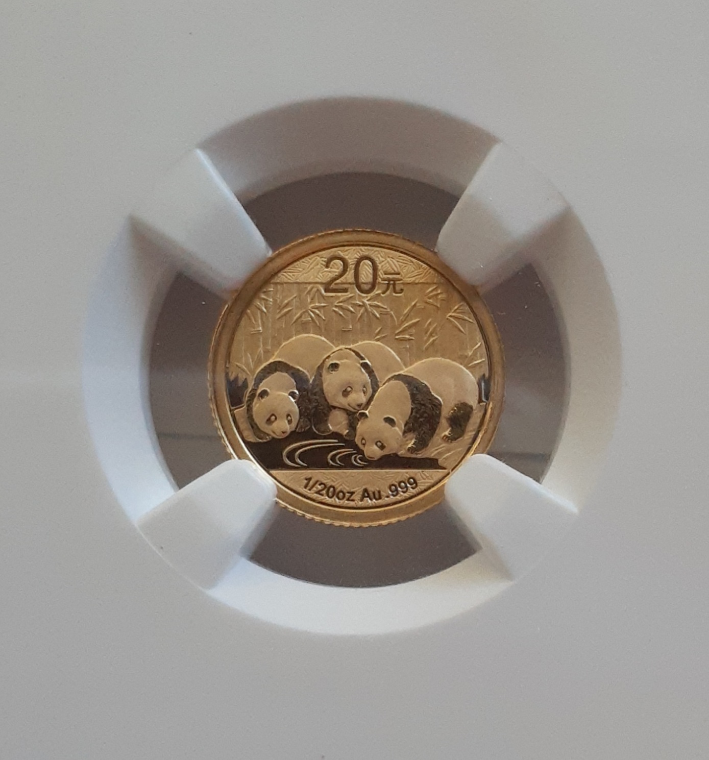 pandas.jpg
