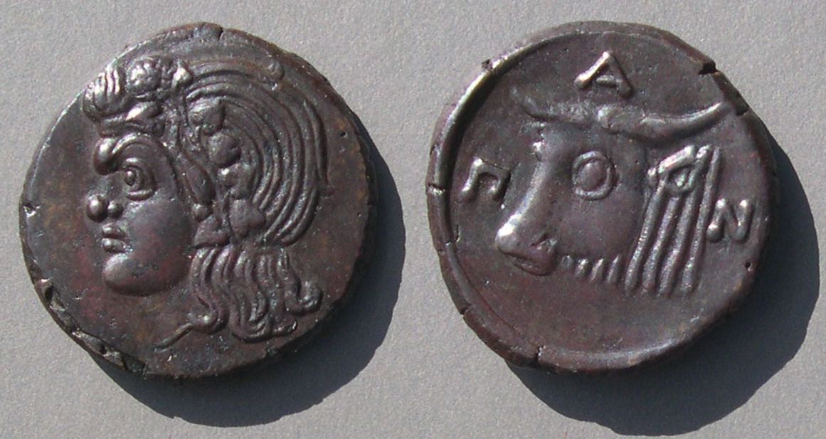 PanMD65bull0540.jpg