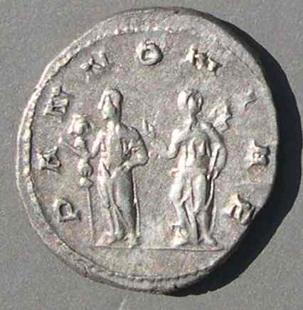 PANNONIAE.jpg