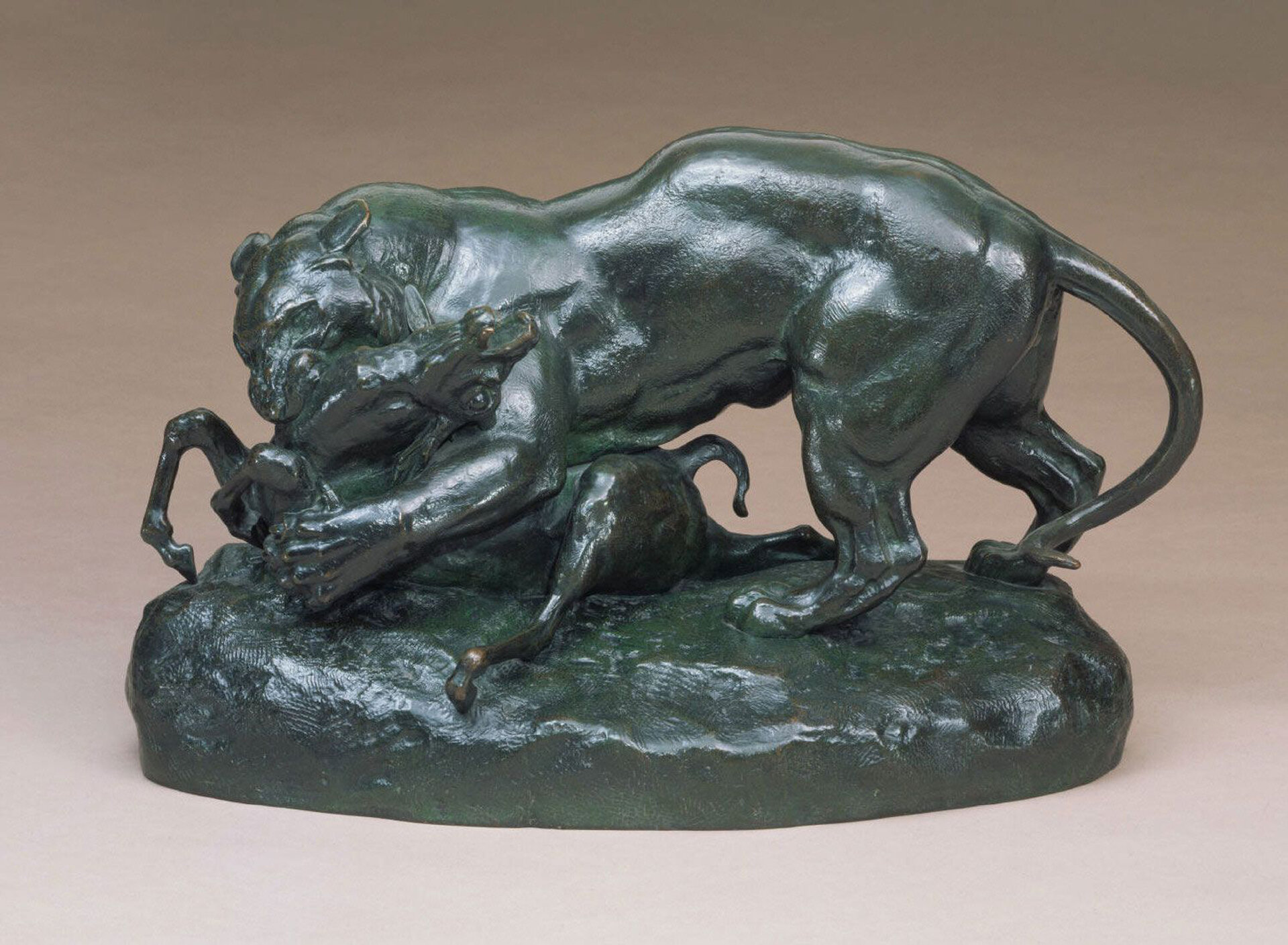 panther.jpg