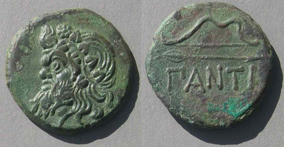 PanticapaionMacD59.jpg