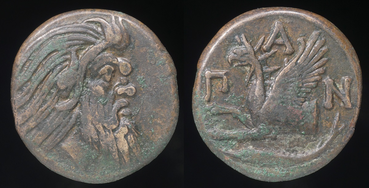 Panticapean AE 1a.jpg