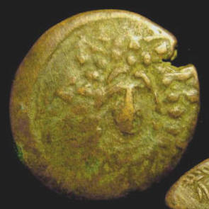 Paphlagonia Amastris Nike a.jpg