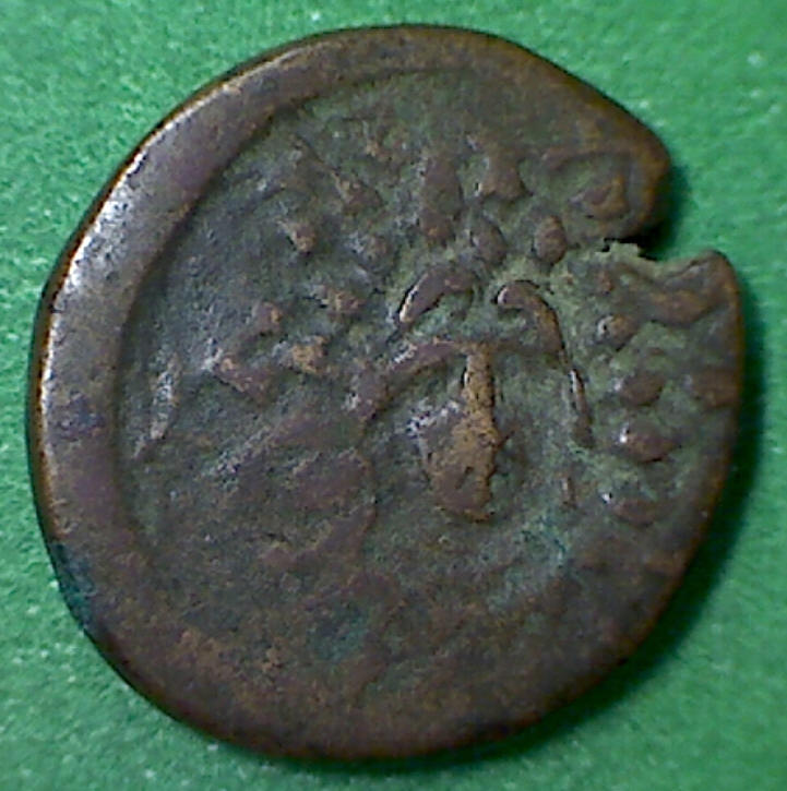 Paphlagonia Amastris Nike Homemade a.jpg