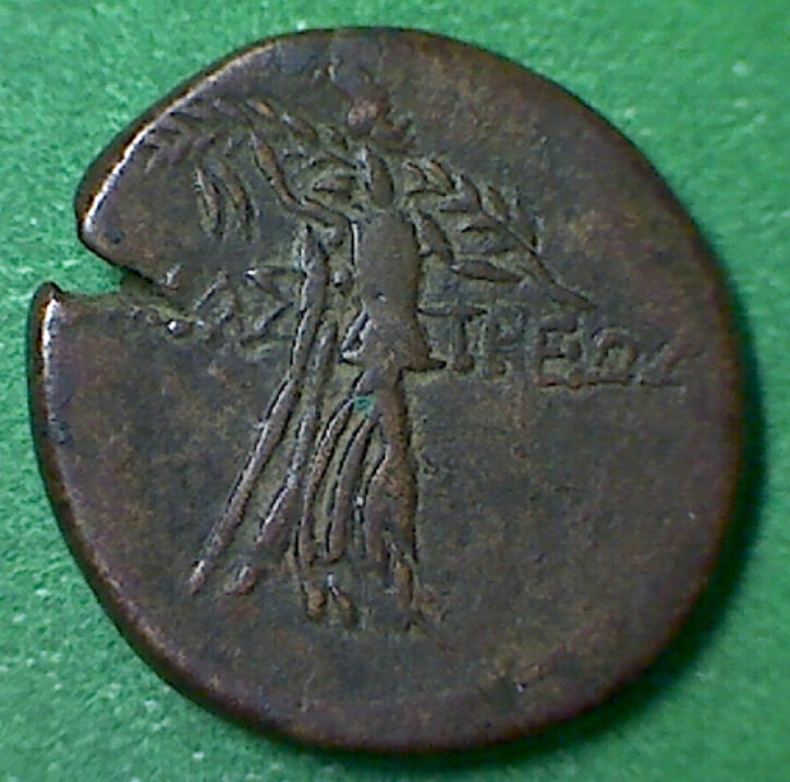 Paphlagonia Amastris Nike Homemade b.jpg