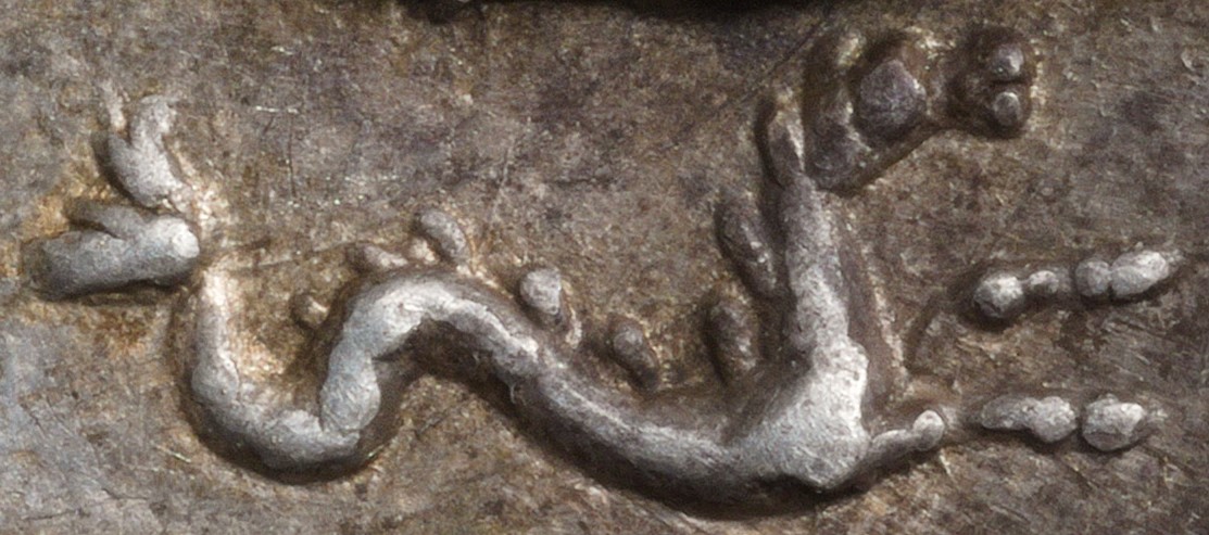 Papia 1b rev - Crop.jpg