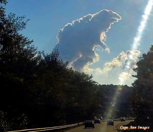 pareidolia-cloudzilla-l (1).jpg