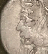 PareidoliaParthianPortrait.png