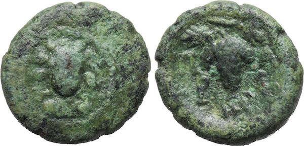 parion-grapes.jpg